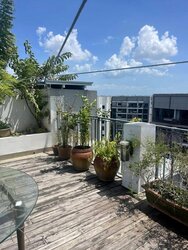 Esparina Residences (D19), Condominium #457430751